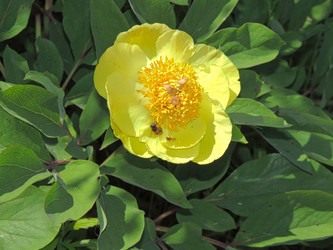 Similar image 22560116