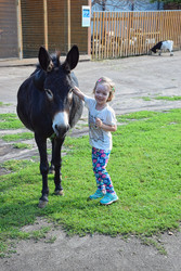 Similar image 22560120