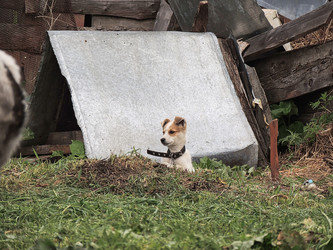 Similar image 22560129