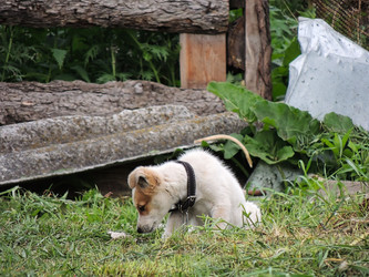 Similar image 22560130