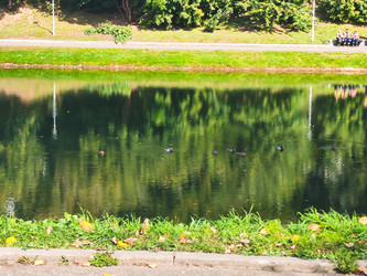 Similar image 22591314