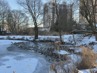 Similar image 22591315