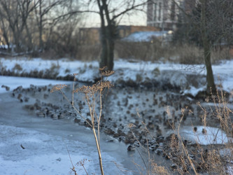 Similar image 22591316