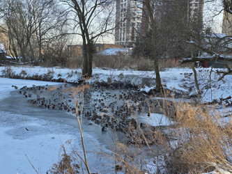 Similar image 22591317