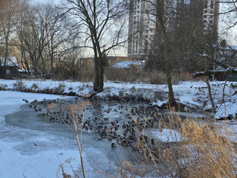 Similar image 22591318