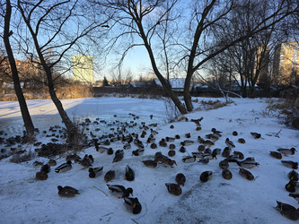 Similar image 22591326