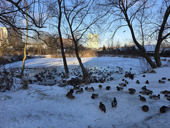 Similar image 22591327