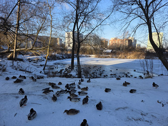 Similar image 22591328