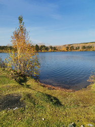 Similar image 22591355