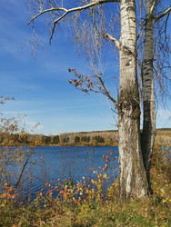 Similar image 22591356