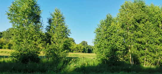 Similar image 22591371