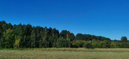 Similar image 22591372