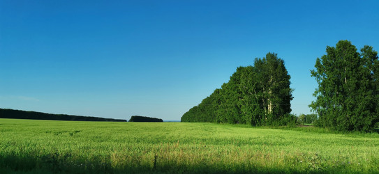 Similar image 22591373