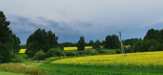 Similar image 22591375