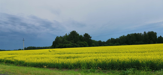 Similar image 22591376