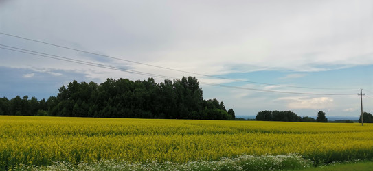 Similar image 22591377