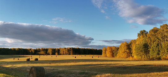 Similar image 22591380