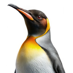 Similar image 22488013