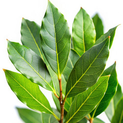 Similar image 22490677