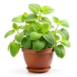 Similar image 22490703