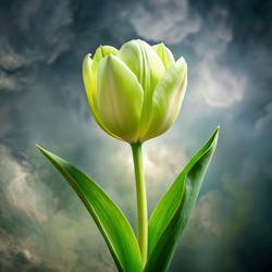 Similar image 22490882