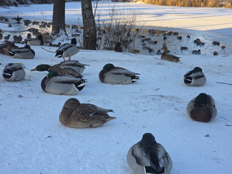 Similar image 22591319