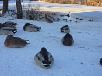 Similar image 22591320