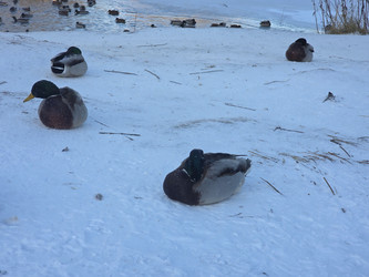 Similar image 22591321