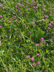 Similar image 22591322