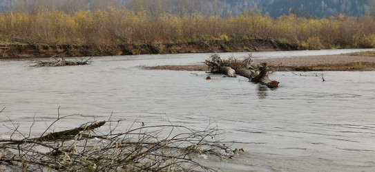 Similar image 22591384