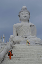 Similar image 22558875