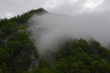 Similar image 22558876