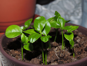 Similar image 22560107