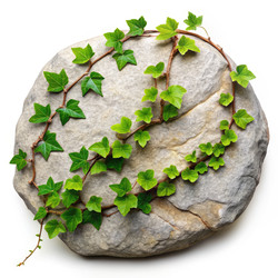 Similar image 22487059