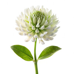 Similar image 22487941