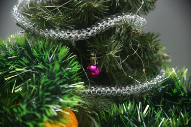 Similar image 22489098