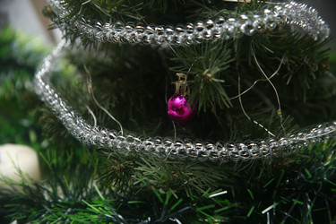 Similar image 22489100