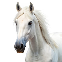 Similar image 22487419