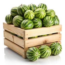 Similar image 22488019