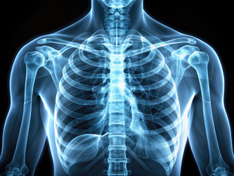 Similar image 22491710