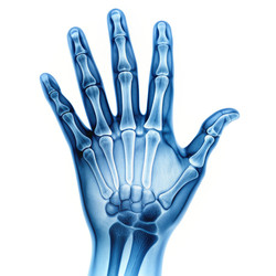 Similar image 22491740