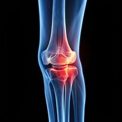 Similar image 22491756