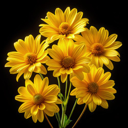 Similar image 22491292