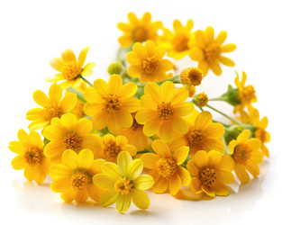 Similar image 22491502