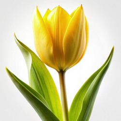 Similar image 22491606