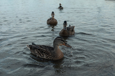 Similar image 22580987