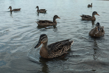 Similar image 22580988