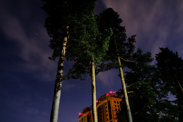 Similar image 22581013
