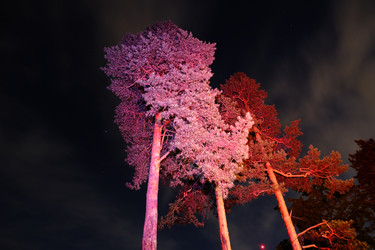 Similar image 22581014