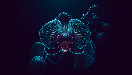 Similar image 22518876